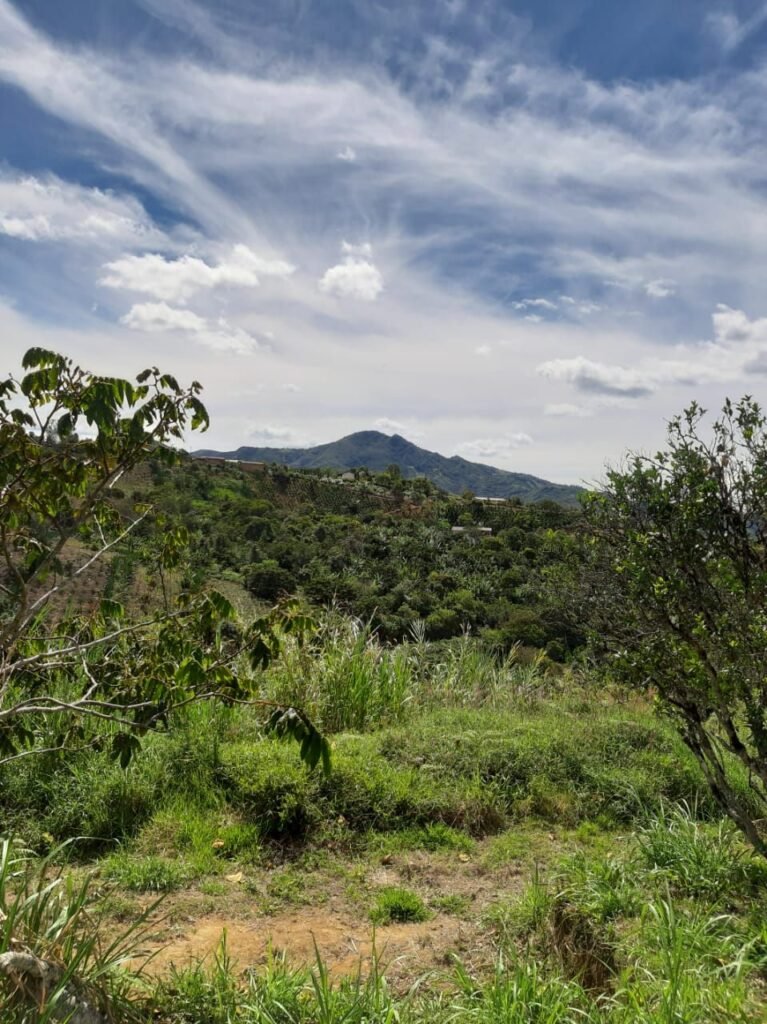 Lote en venta en Pasto