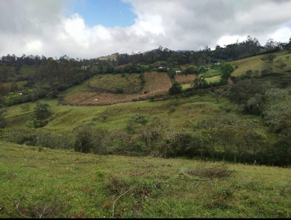 Lote en venta en Pasto