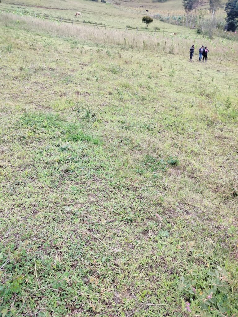 Lote en venta en Pasto
