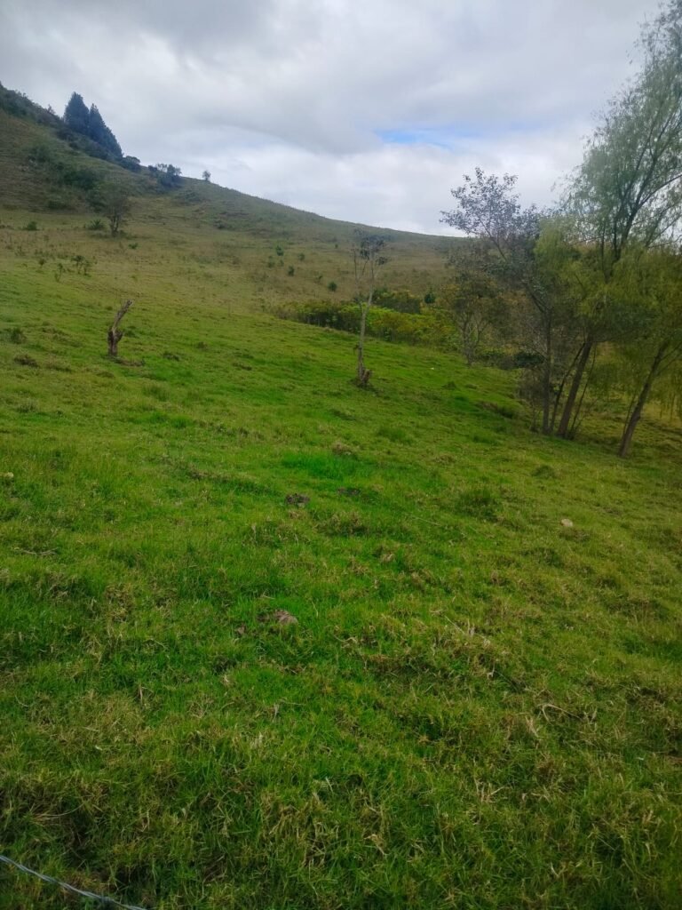 Lote en venta en Pasto
