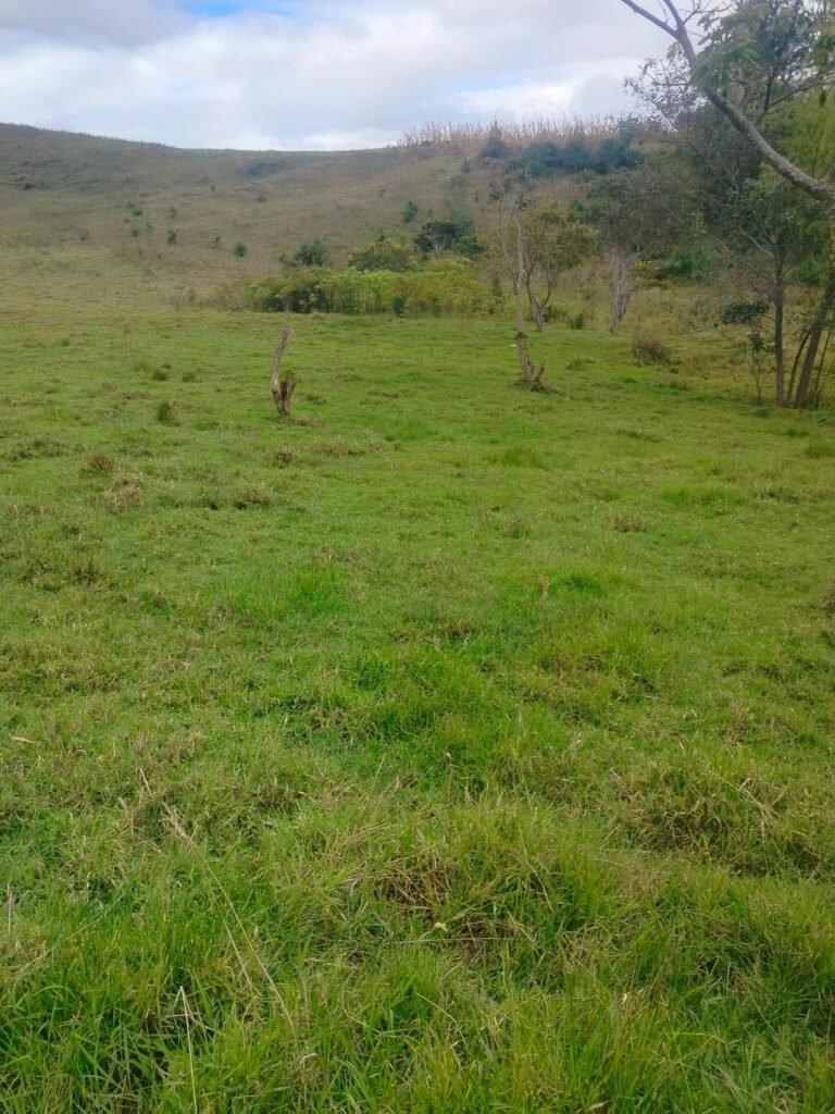 Lote en venta en Pasto