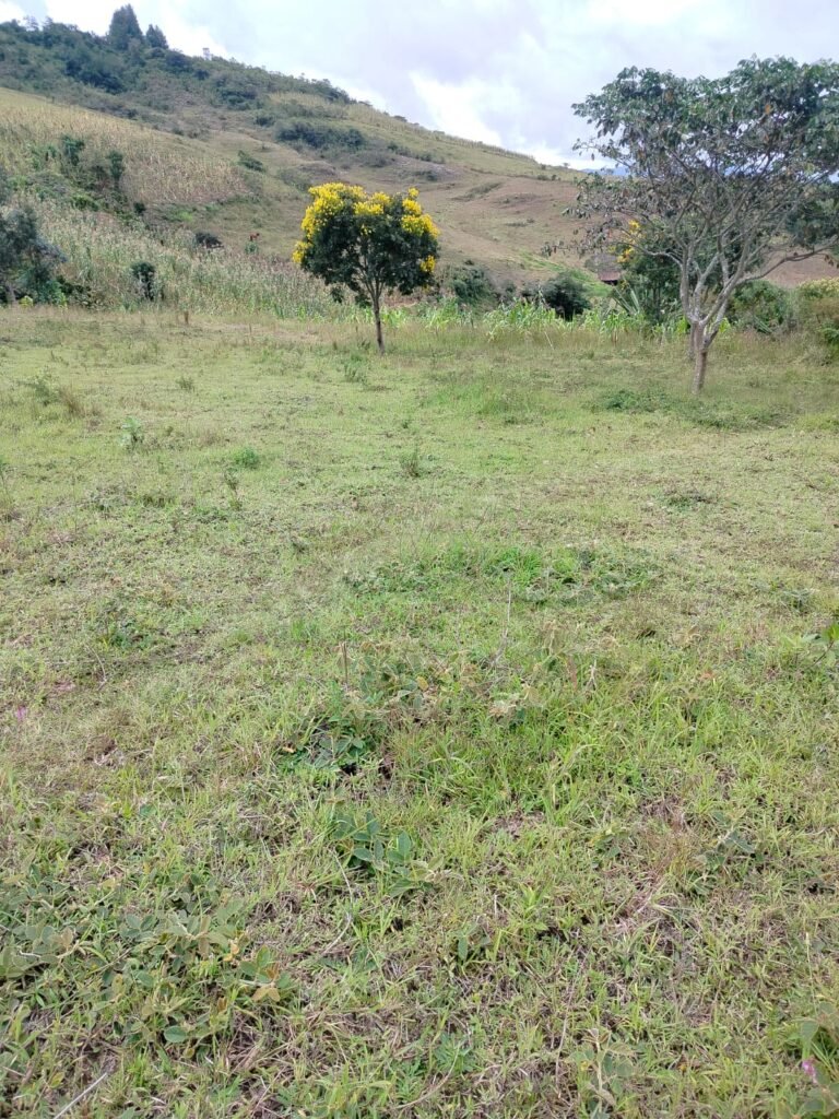 Lote en venta en Pasto