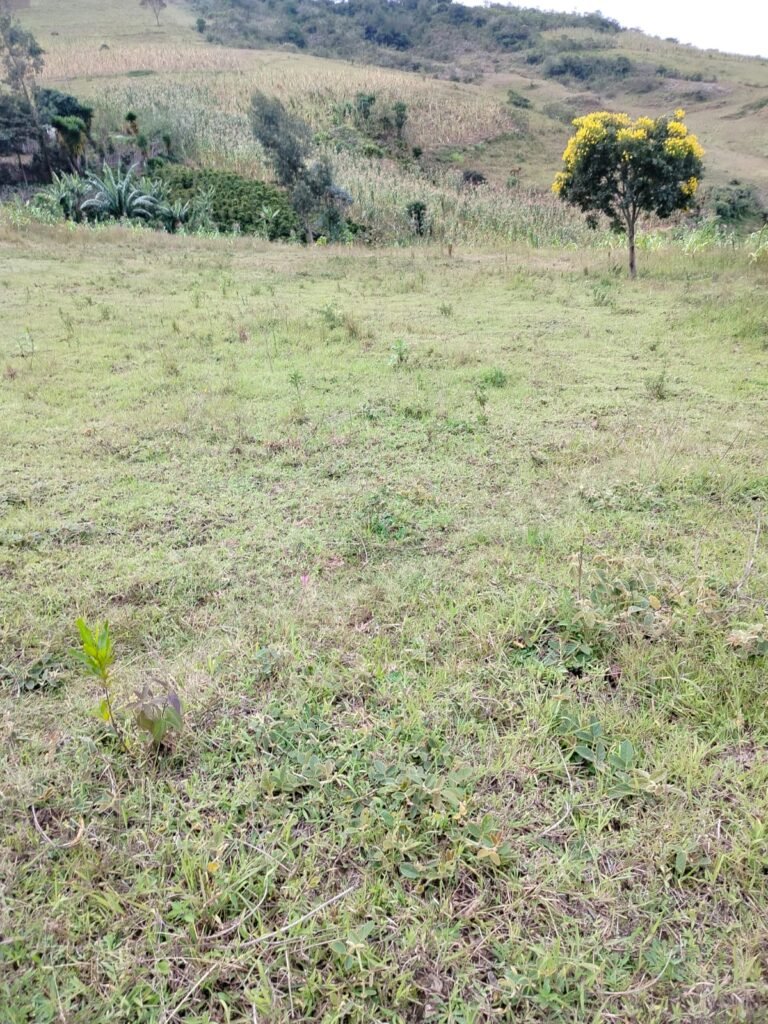 Lote en venta en Pasto