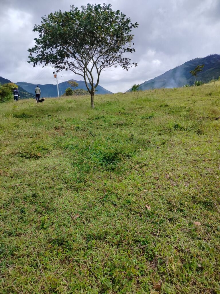 Lote en venta en Pasto