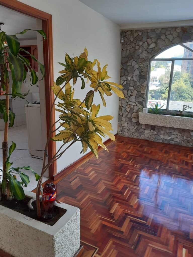 Apartamento en Venta en Pasto