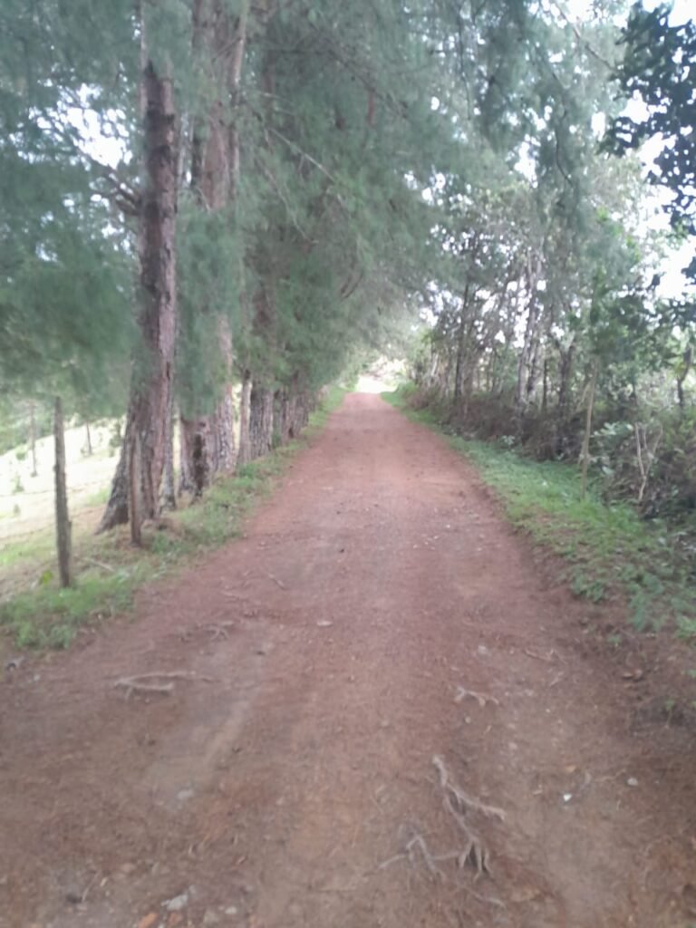 Lote en Venta en Pasto