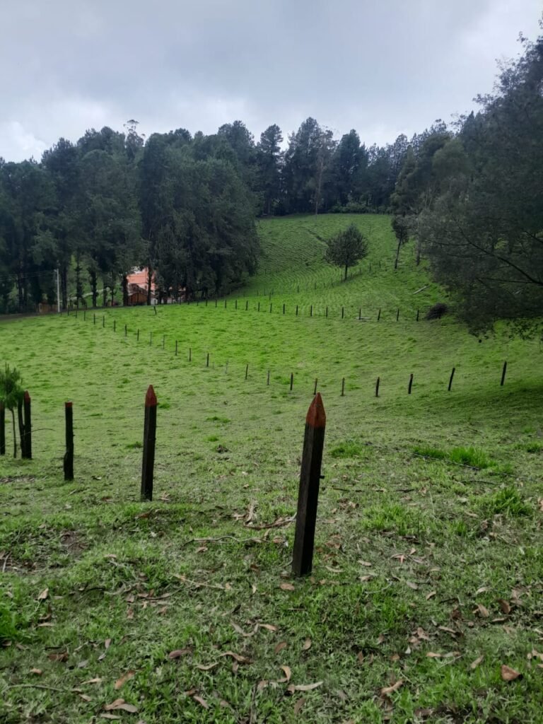Lote en Venta en Pasto