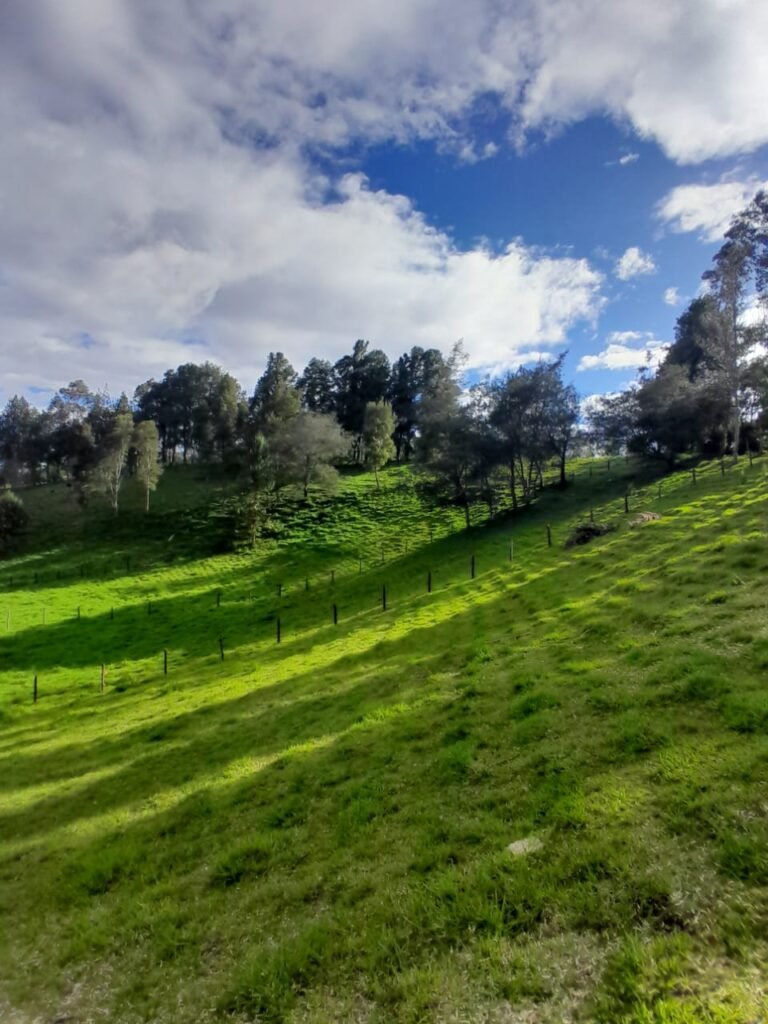Lote en Venta en Pasto