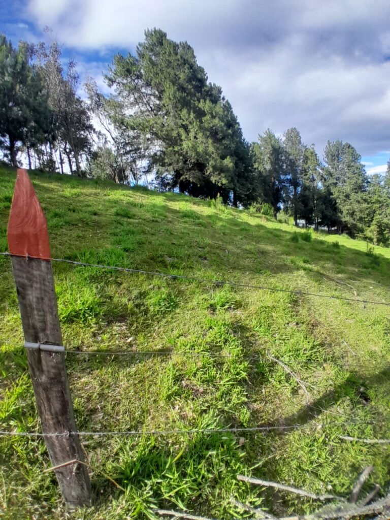 Lote en Venta en Pasto