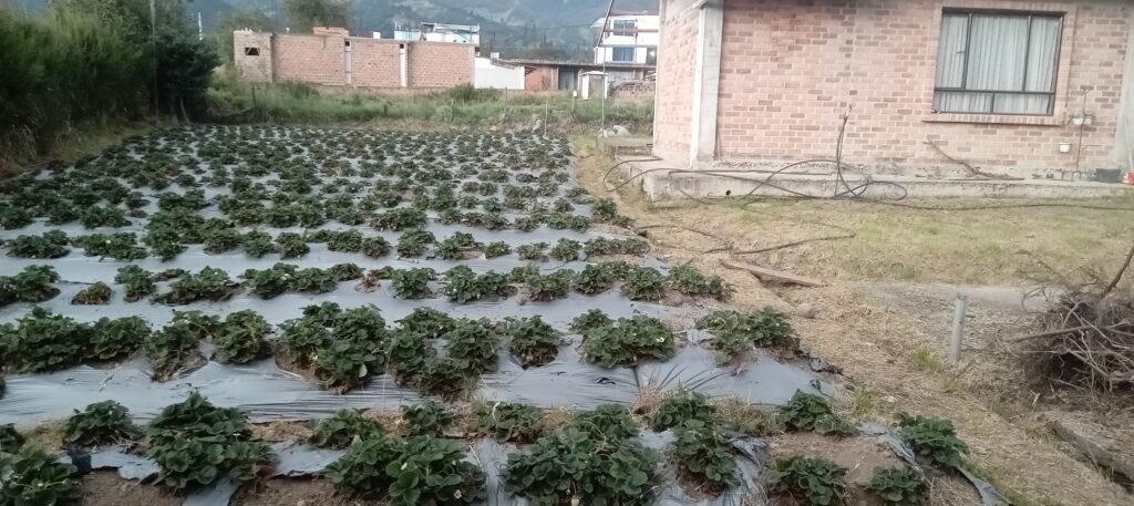 Lote en Venta en Pasto