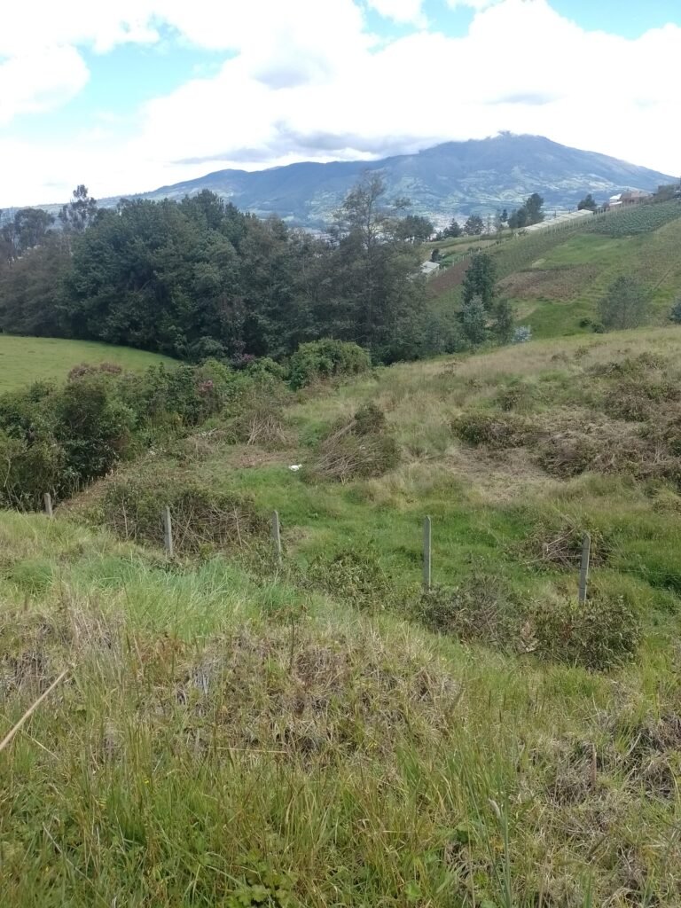Lote en Venta en Pasto