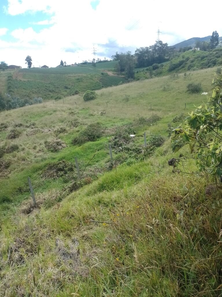 Lote en Venta en Pasto