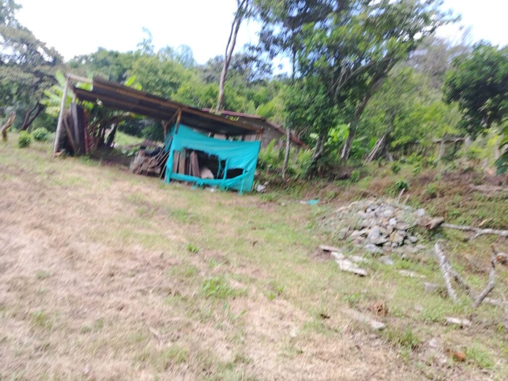 Lote en Venta - Pasto - IP-0059A