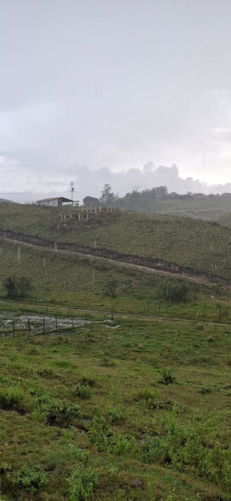 Lote en Venta en Pasto