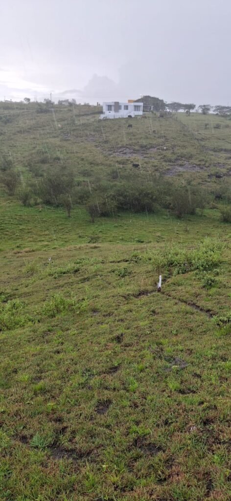 Lote en Venta en Pasto