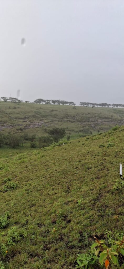 Lote en Venta en Pasto
