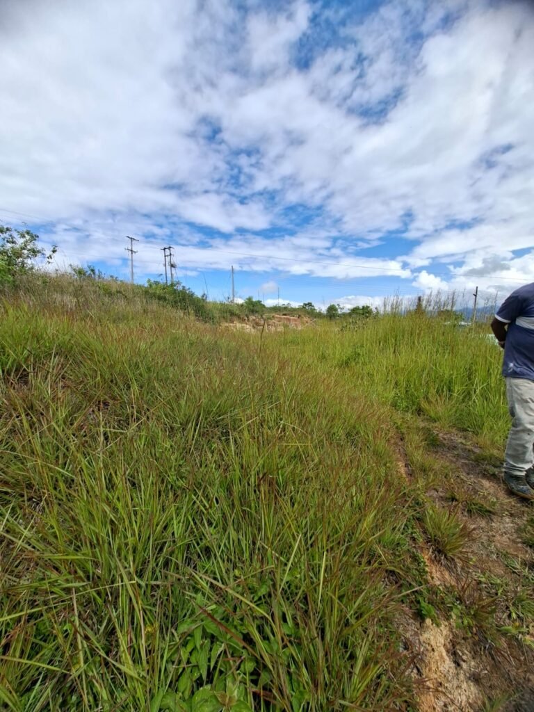 Lote en Venta - Chachagüí - IP-0090A (1)